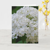 White Hydrangeas Wenskaart Kaart (Gele Bloem)