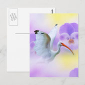 White Ibis and Pansies Briefkaart (Voorkant / Achterkant)