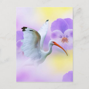White Ibis and Pansies Briefkaart