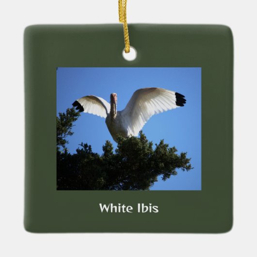White Ibis Bird Ornament (Voorkant)