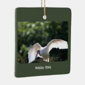 White Ibis Bird Ornament (Rechts)