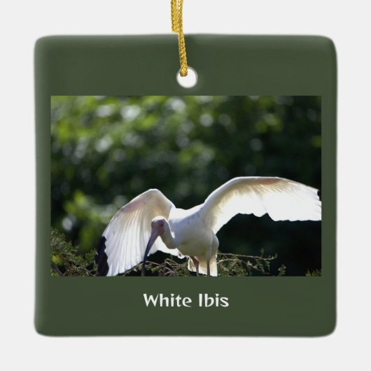 White Ibis Bird Ornament (Voorkant)