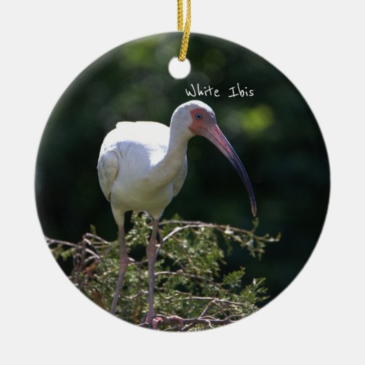 White Ibis Bird Ornament (Voorkant)