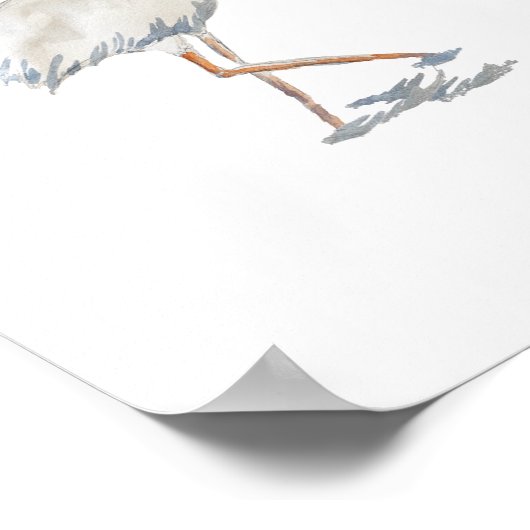 White Ibis Florida Bird Natuur Painting Poster (Hoek)