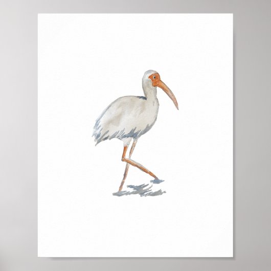 White Ibis Florida Bird Natuur Painting Poster (Voorkant)