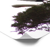 White Ibis in Tree Poster (Hoek)