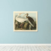 White Ibis - John James Audubon's Birds of America Canvas Afdruk (Insitu (Houten vloer))