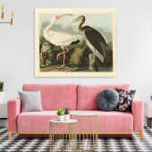 White Ibis - John James Audubon's Birds of America Canvas Afdruk (Insitu (Woonkamer))