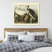White Ibis - John James Audubon's Birds of America Canvas Afdruk (Insitu (Slaapkamer))