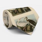 White Ibis - John James Audubon's Birds of America Stropdas (Opgerold)