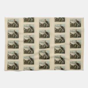 White Ibis - John James Audubon's Birds of America Theedoek