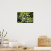 White Ibis Poster (Keuken)