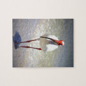 White Ibis Strut Legpuzzel (Horizontaal)