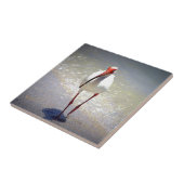 White Ibis Strut Tegeltje (Zijkant)