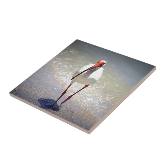 White Ibis Strut Tegeltje (Zijkant)
