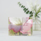 White Iceland Poppy - Life is Inspiration Post Kaa Briefkaart (Staand voorkant)