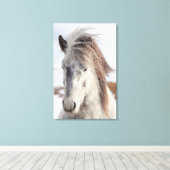 White IJslands Horse Headshot Canvas Afdruk (Insitu (Houten vloer))