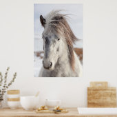 White IJslands Horse Headshot Poster (Keuken)