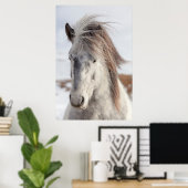 White IJslands Horse Headshot Poster (Thuiskantoor)