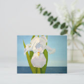 White Iris2 Briefkaart (Staand voorkant)