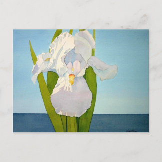 White Iris2 Briefkaart