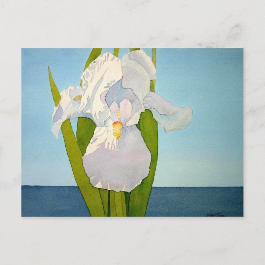 White Iris2 Briefkaart (Voorkant)