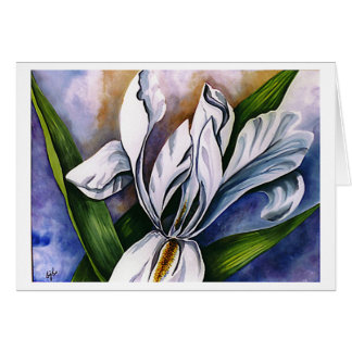 White Iris 2 van Barbara Beck-Azar