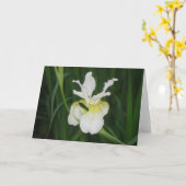 White iris kaart (Gele Bloem)