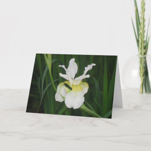 White iris kaart (Voorkant)
