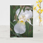 White Iris Kaart (Gele Bloem)