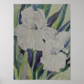 White Iris Poster (Voorkant)