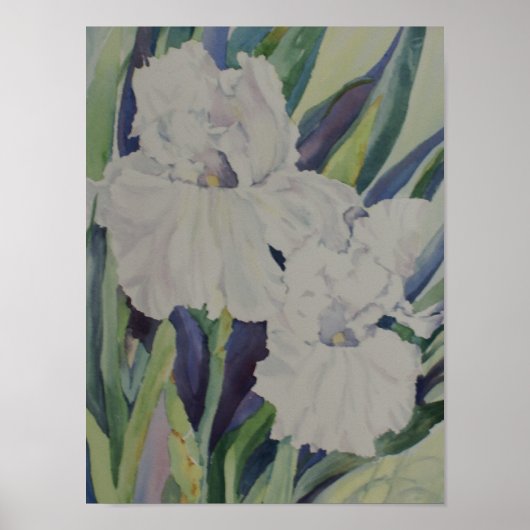 White Iris Poster (Voorkant)