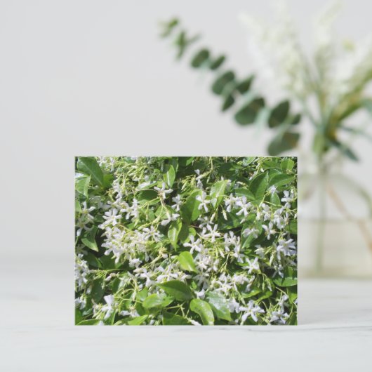 White Jasmine Flowers Briefkaart (Staand voorkant)