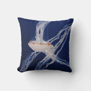 WHITE JELLY FISH KUSSEN