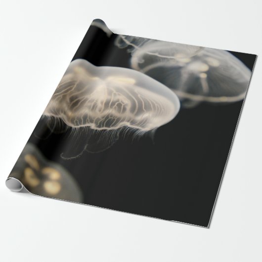WHITE JELLYFISH CADEAUPAPIER (Uitgerold)
