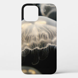 WHITE JELLYFISH Case-Mate iPhone CASE