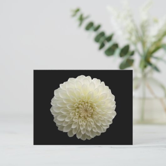 White Jomanda (Dahlia) Briefkaart (Staand voorkant)