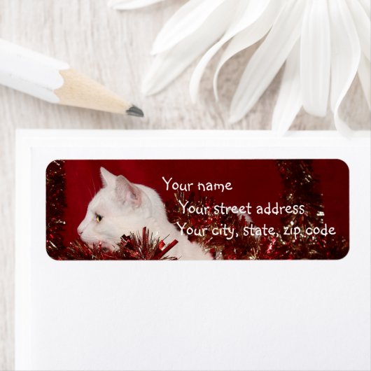 White kat Kerstmis Etiket (Insitu)