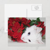 White kat Kerstmis Feestdagenkaart (Voorkant / Achterkant)