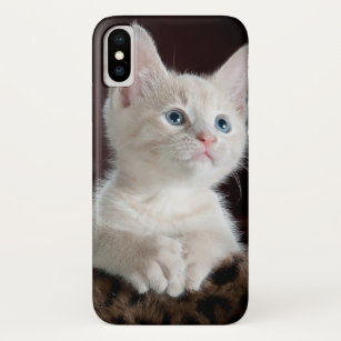 White Kat Kitten Cat iPhone Case