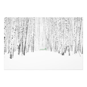 White Kerstmis Foto Afdruk