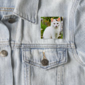 White Kitten Button (In situ)