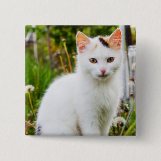White Kitten Button