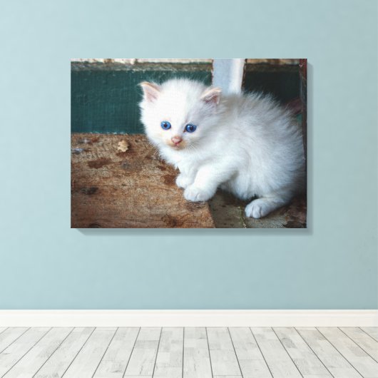 White Kitten Canvas Afdruk (Insitu (Houten vloer))