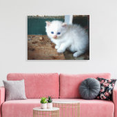White Kitten Canvas Afdruk (Insitu (Woonkamer))
