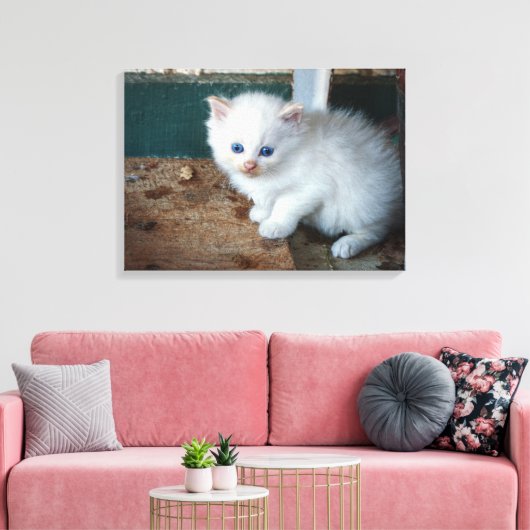 White Kitten Canvas Afdruk (Insitu (Woonkamer))