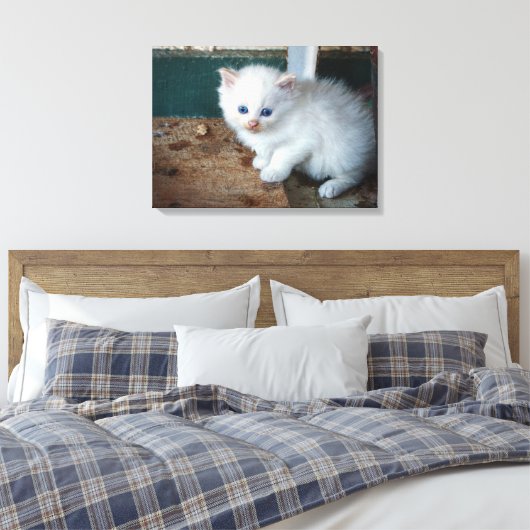 White Kitten Canvas Afdruk (Insitu (Slaapkamer))