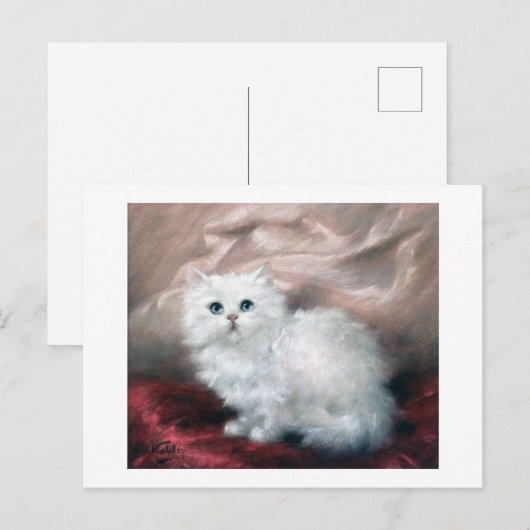 White Kitten, Carl Kahler Briefkaart (Voorkant / Achterkant)