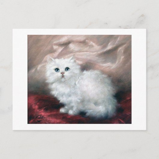 White Kitten, Carl Kahler Briefkaart (Voorkant)