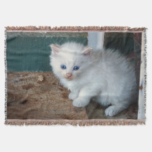 White Kitten Deken (Voorkant)